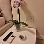 Apartmán Il Colibri Alghero