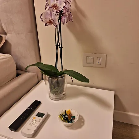 Apartmán Il Colibri Alghero